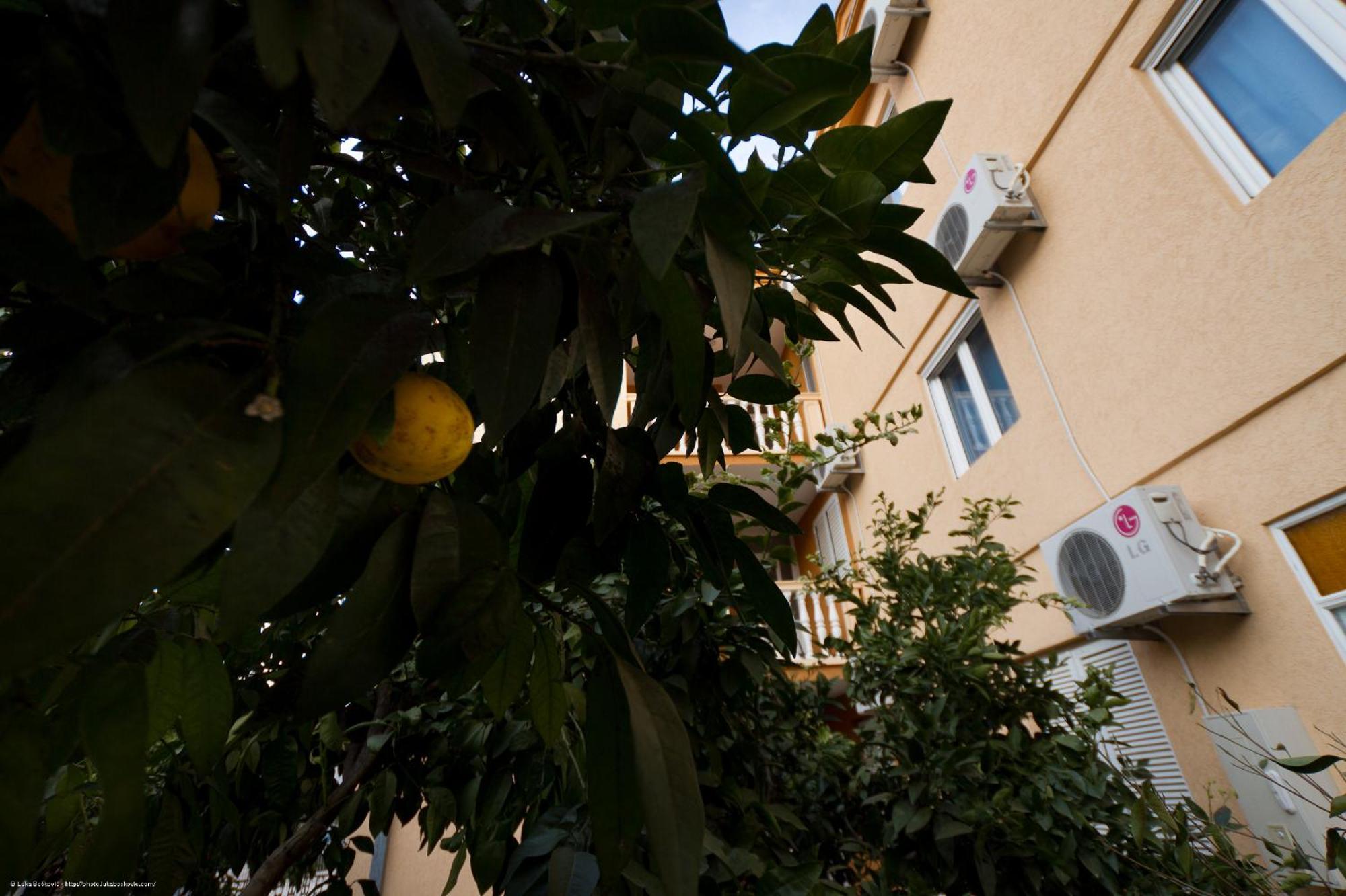 Apartments Dalila Ulcinj Eksteriør billede