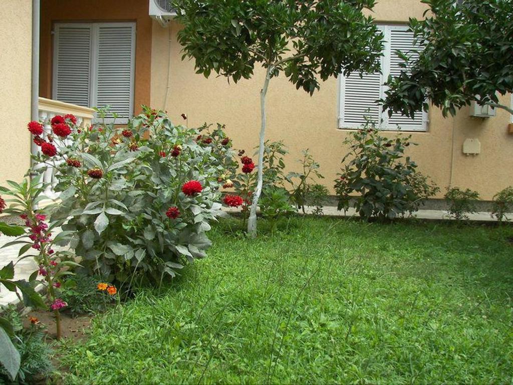 Apartments Dalila Ulcinj Værelse billede